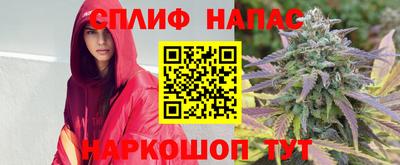 гидропоника Заволжье