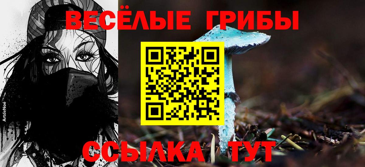 Галлюциногенные грибы ЛСД Лосино-Петровский