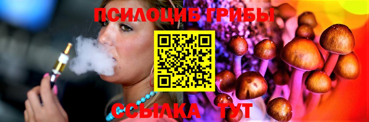 Лосино-Петровский  Псилоцибиновые грибы Magic Shrooms  Вход с VPN 